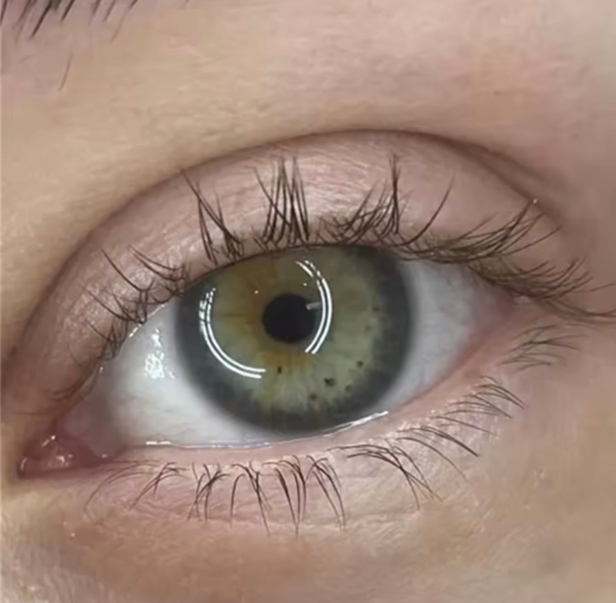 Sérum Cils & Sourcils Sans Huile – Compatible avec les extensions de cils ￼