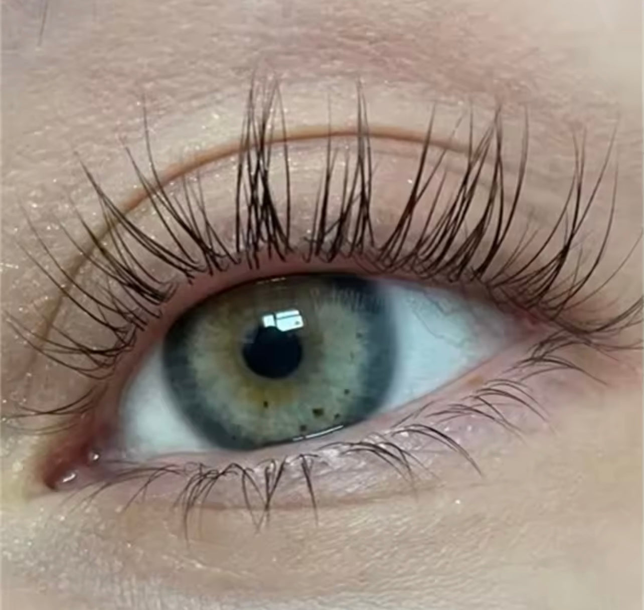 Sérum Cils & Sourcils Sans Huile – Compatible avec les extensions de cils ￼